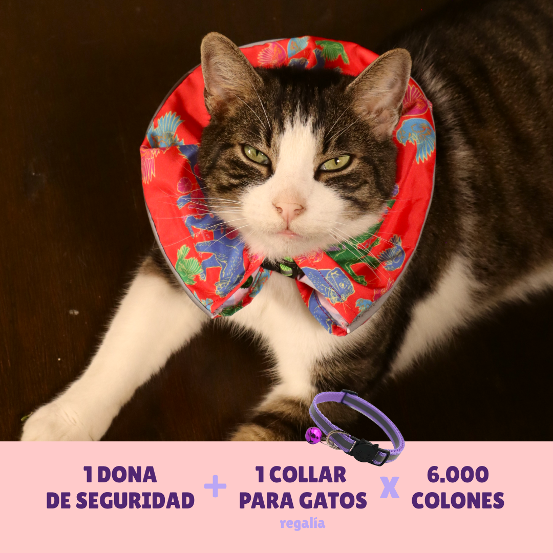 Donas de Seguridad para Gatos