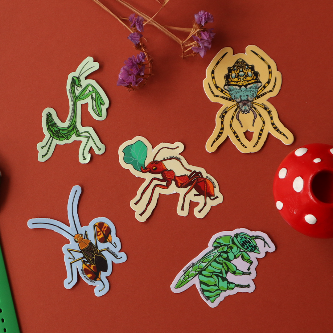 Stickers-Vertebrados de tu Jardín