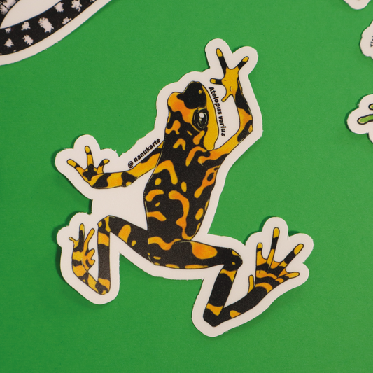 Amphibia de Costa Rica