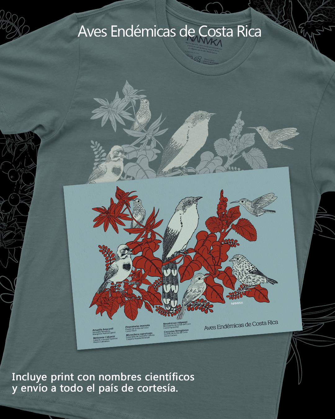 Aves Endémicas de Costa Rica - Camiseta