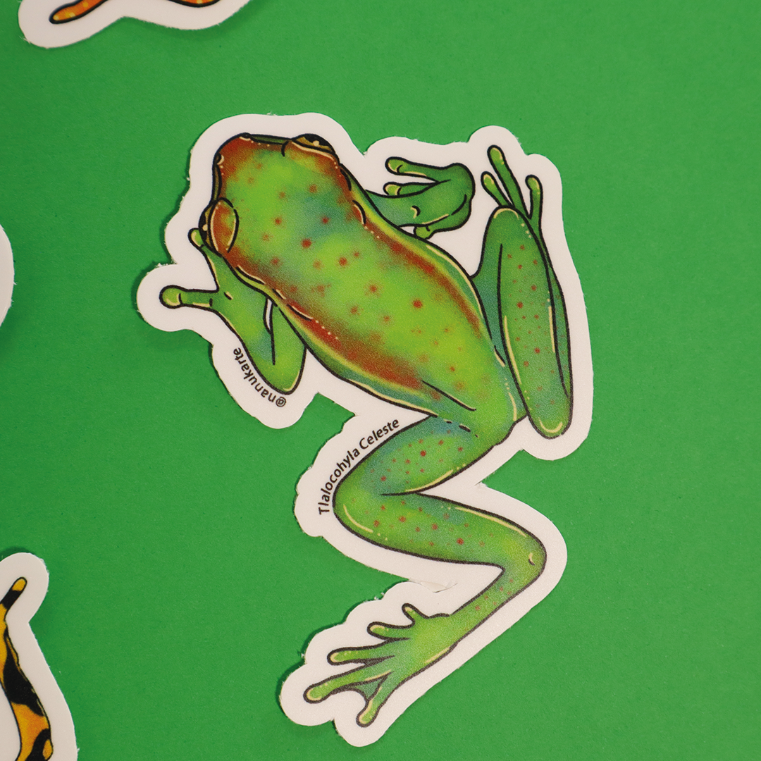 Amphibia de Costa Rica
