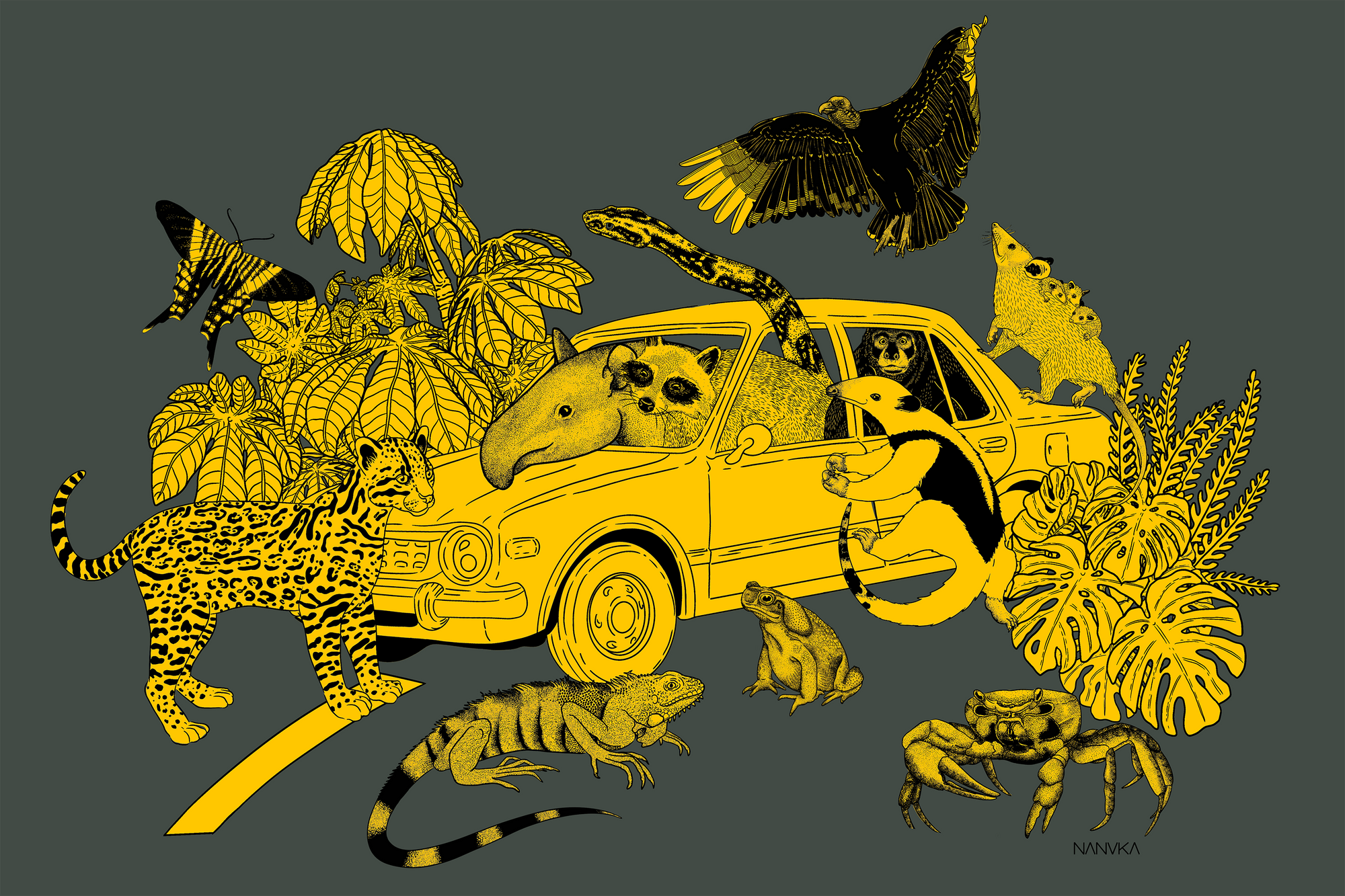 La Vida Silvestre en Carretera.