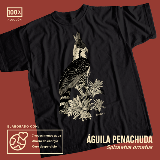 Camiseta Aguilucho Penachudo-Spizaetus ornatus