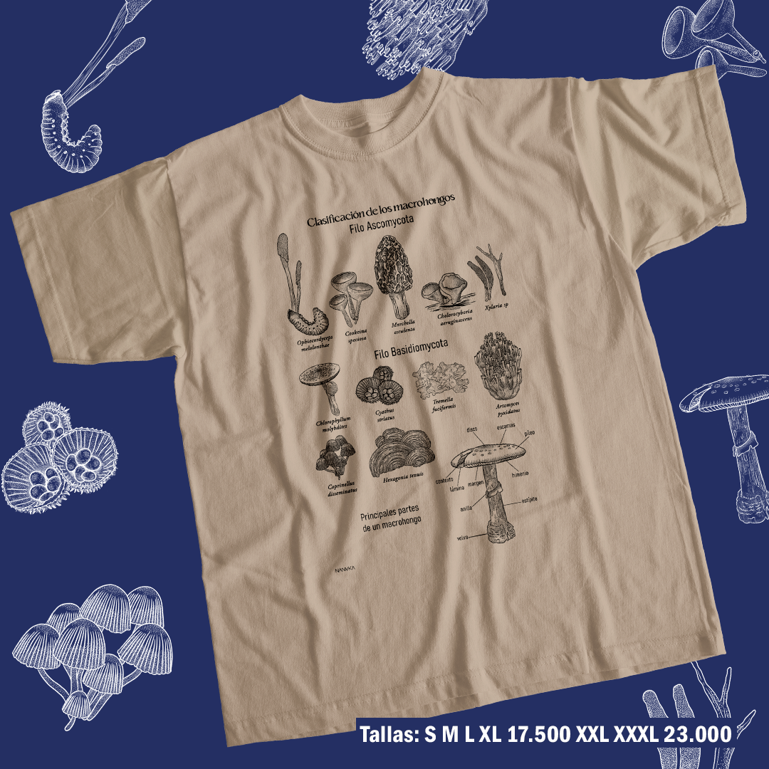 Macrohongos de Costa Rica- Camiseta