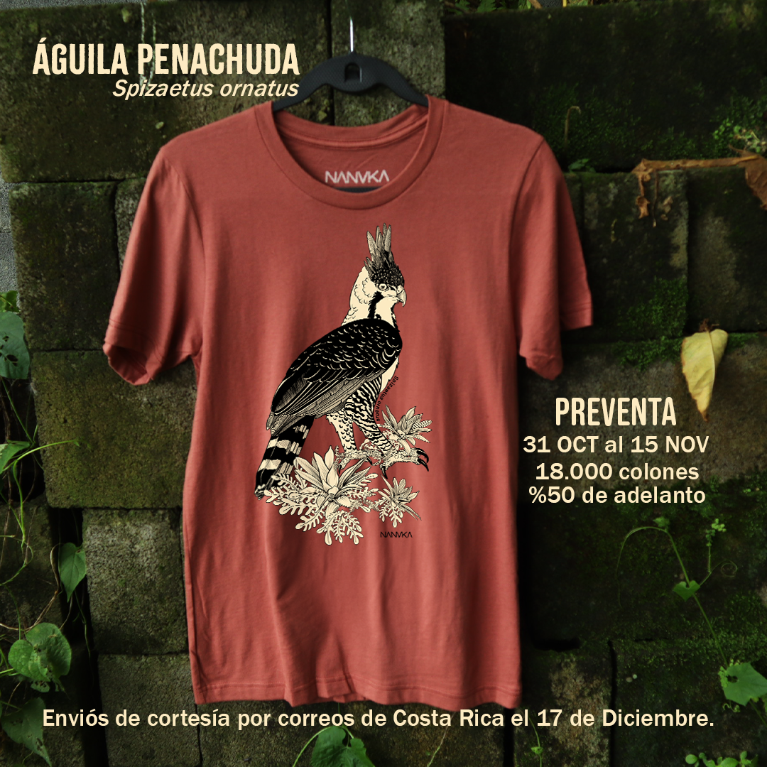 Camiseta Aguilucho Penachudo-Spizaetus ornatus