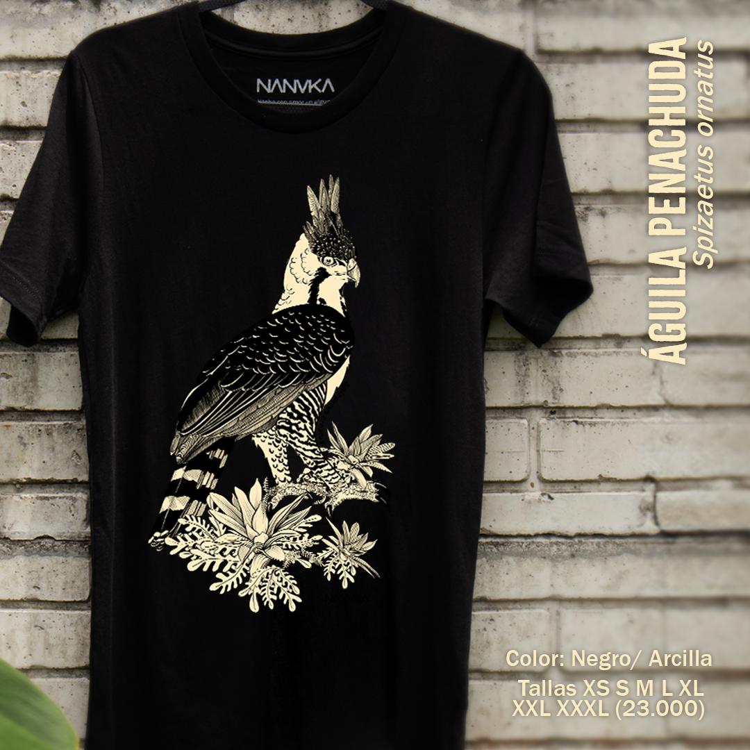 Camiseta Aguilucho Penachudo-Spizaetus ornatus