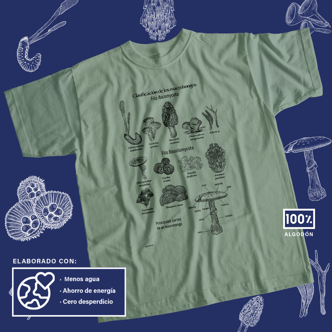 Macrohongos de Costa Rica- Camiseta