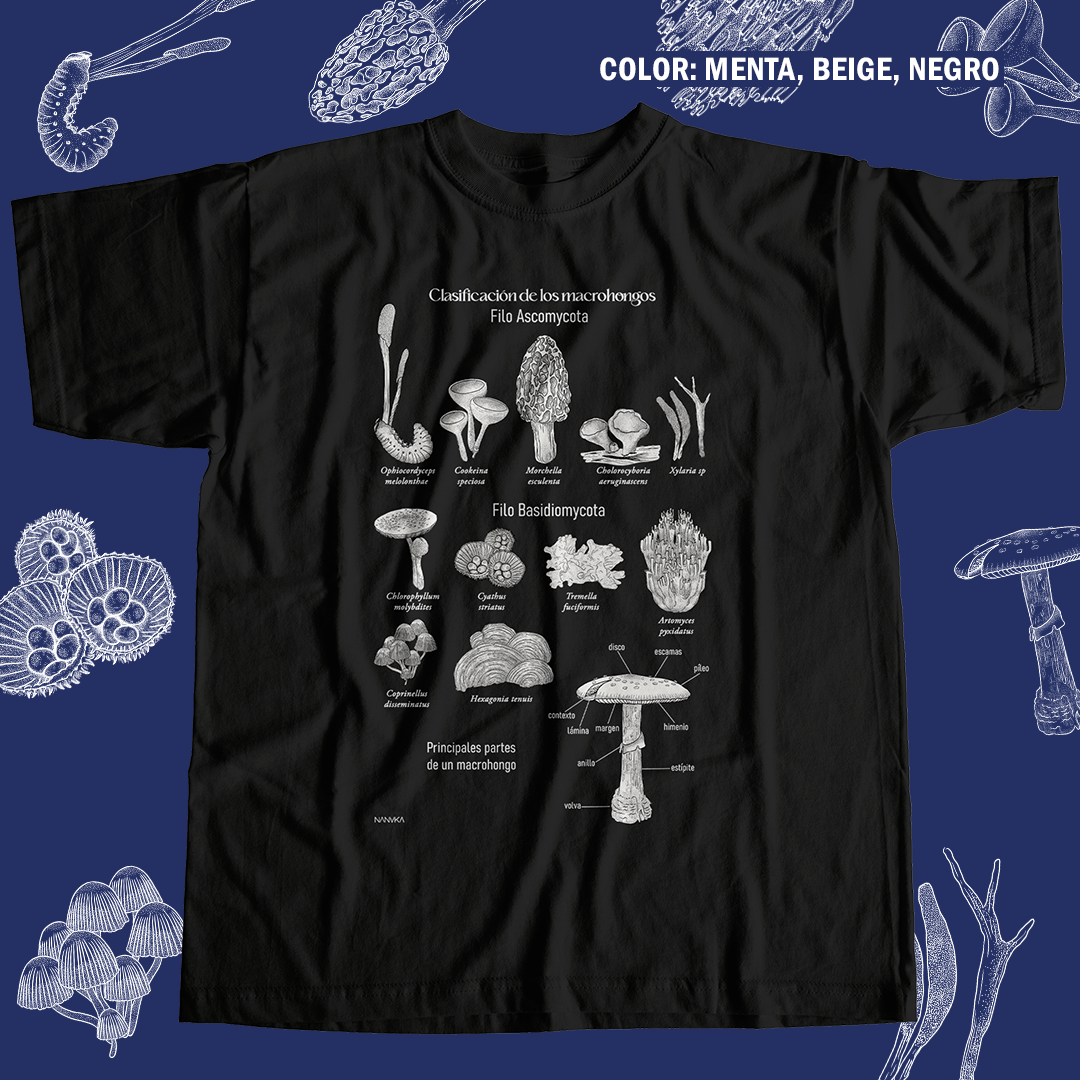 Macrohongos de Costa Rica- Camiseta