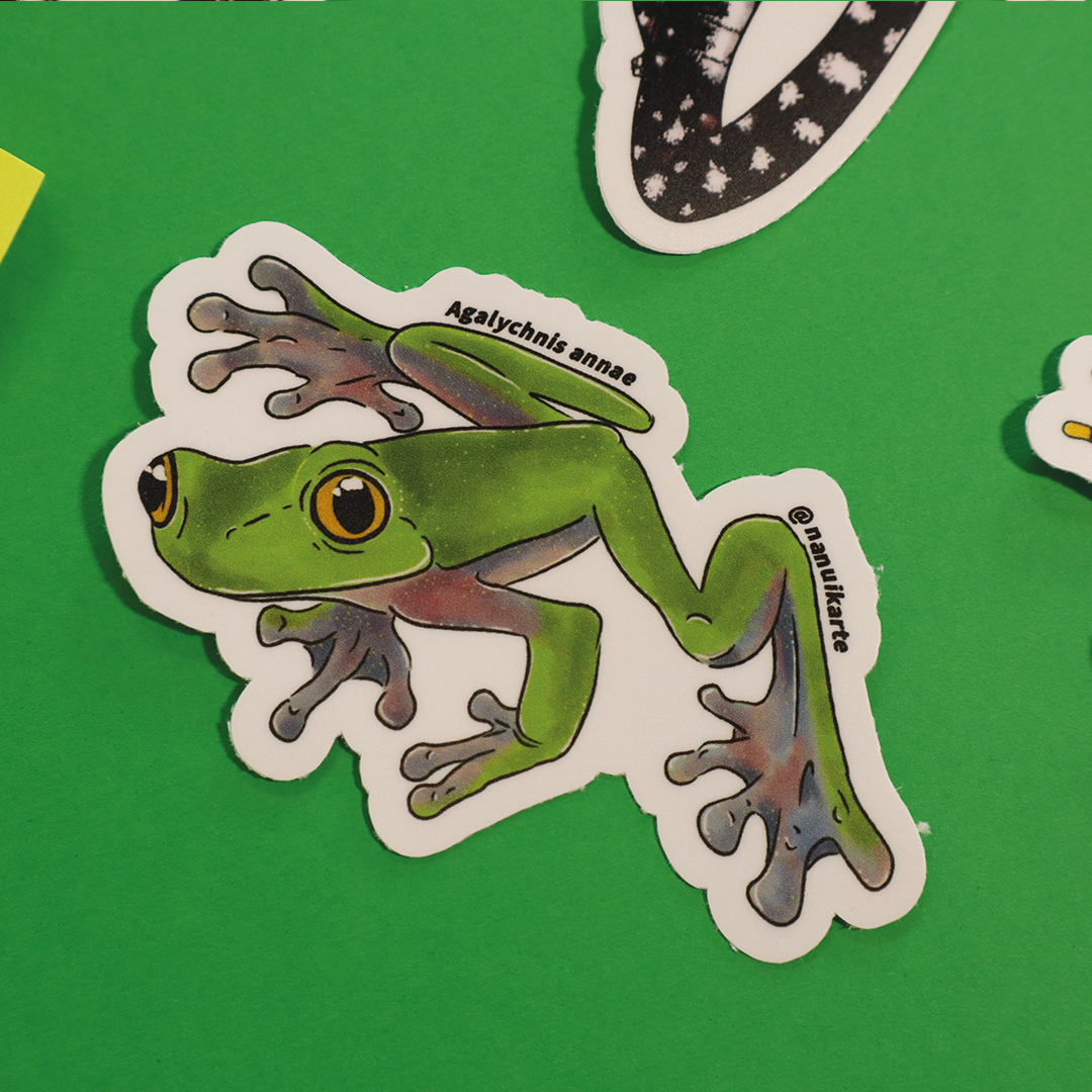 Amphibia de Costa Rica