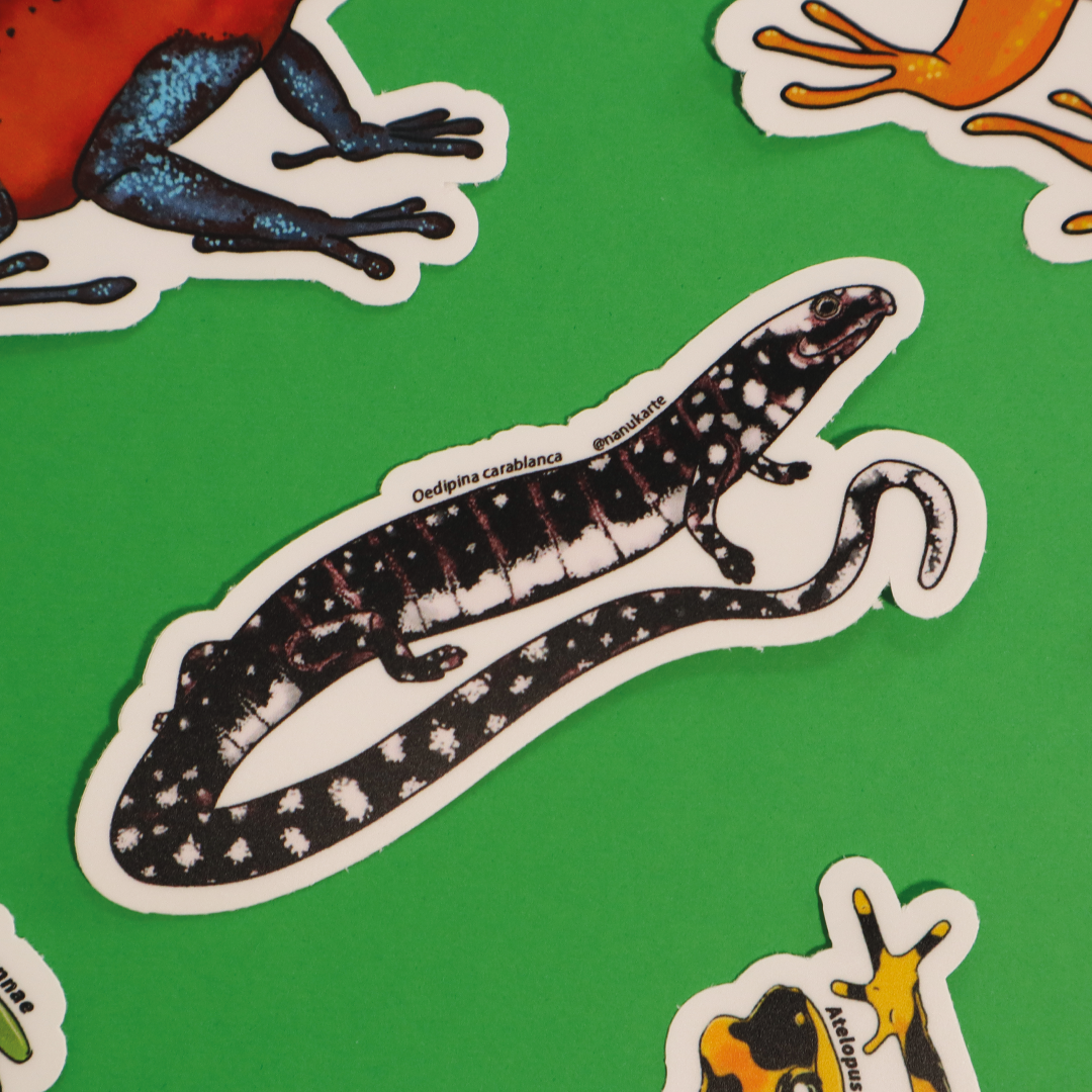 Amphibia de Costa Rica