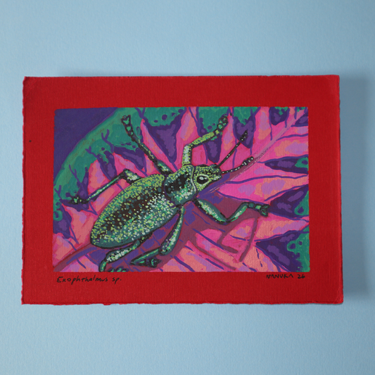 Pinturas Mini