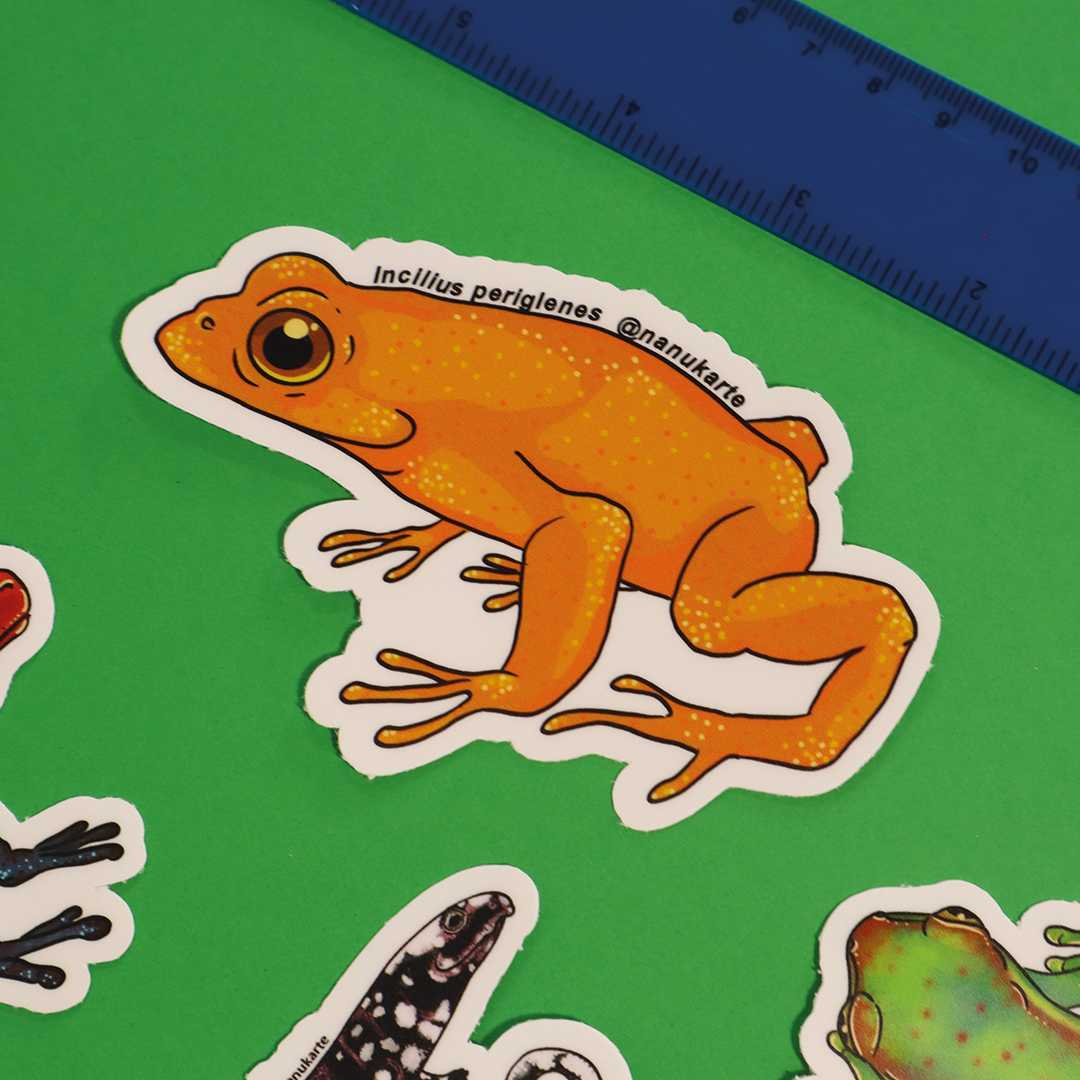 Amphibia de Costa Rica