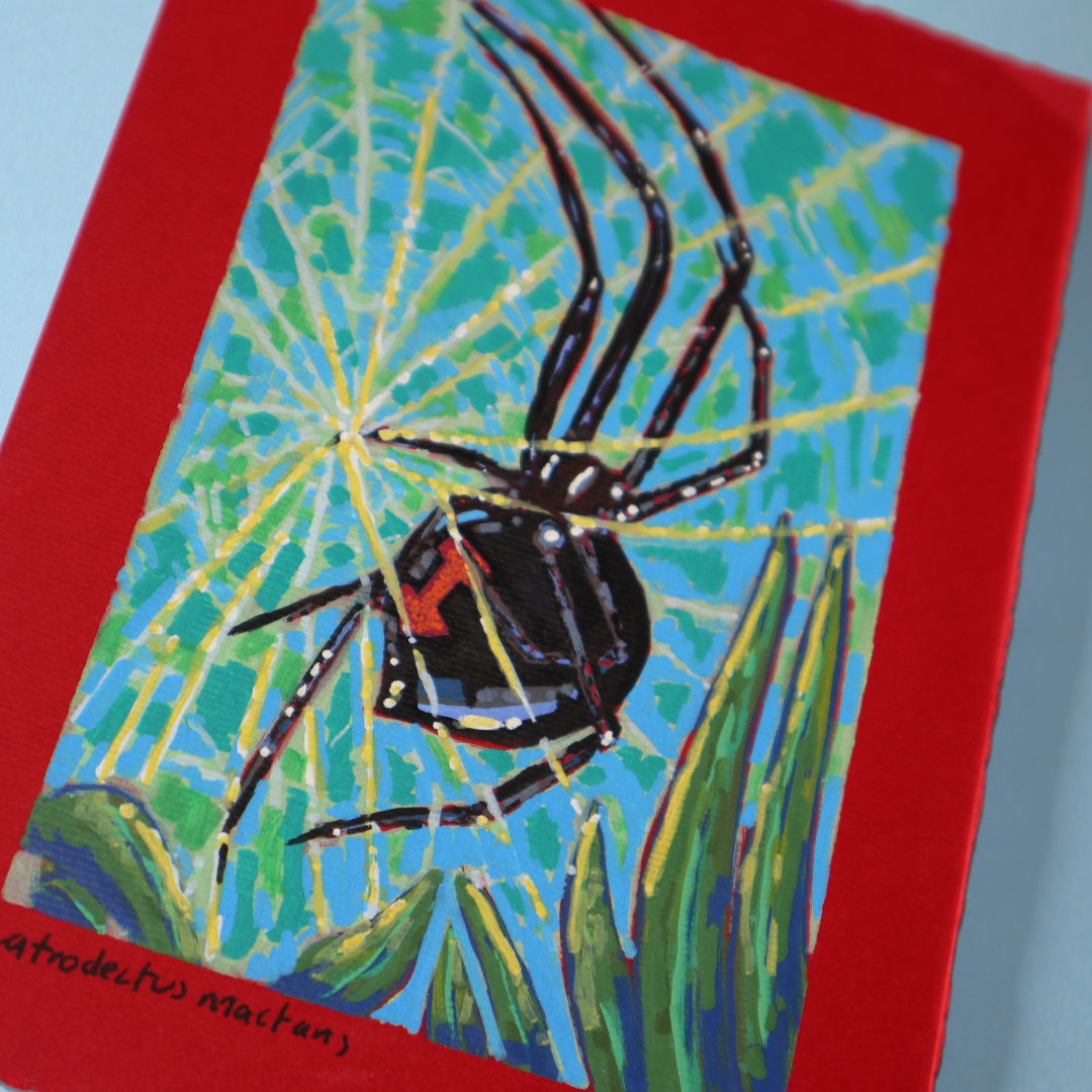 Pinturas Mini
