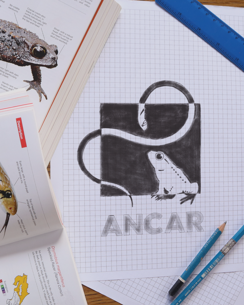 Desarrollo de Marca