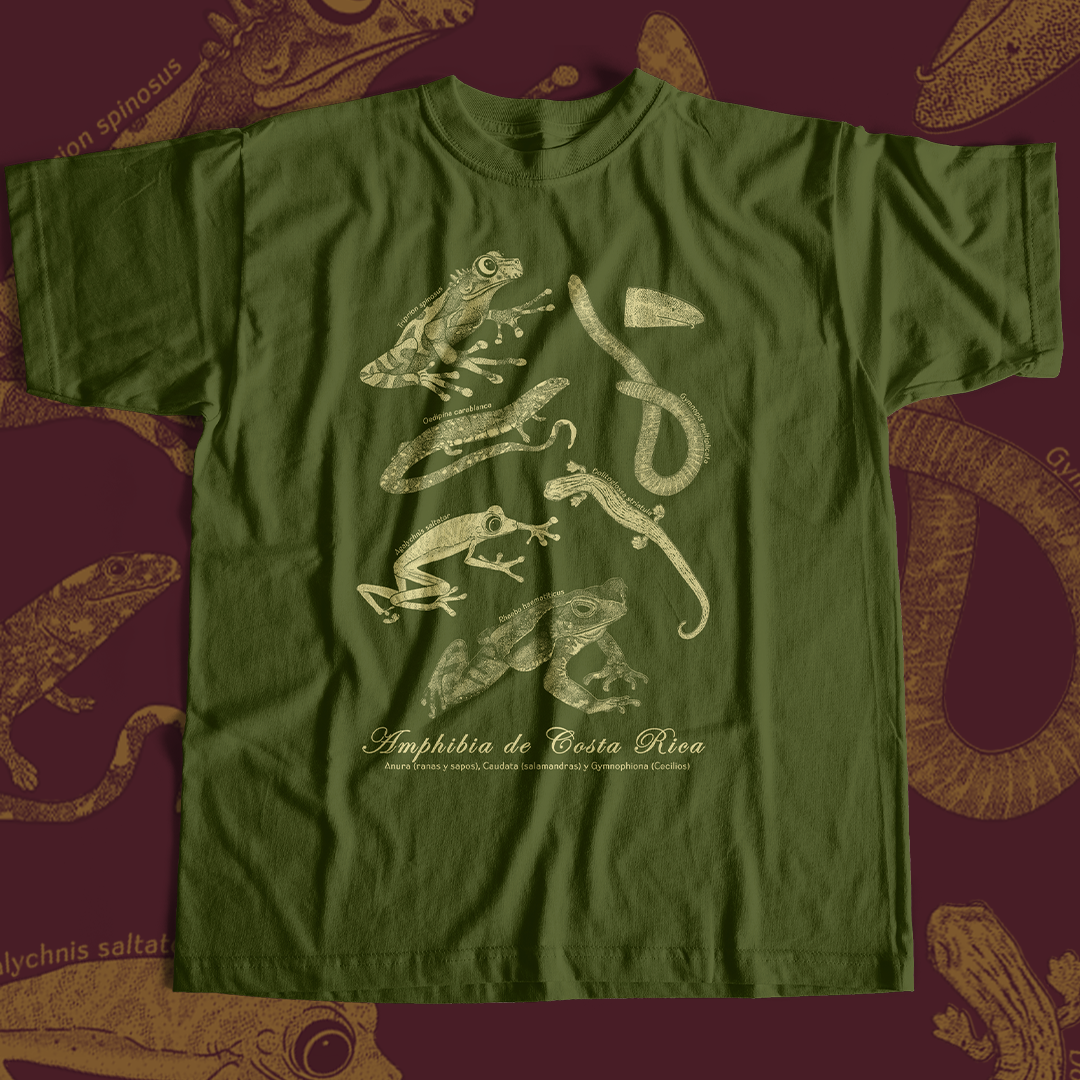 Amphibia de Costa Rica- Camiseta