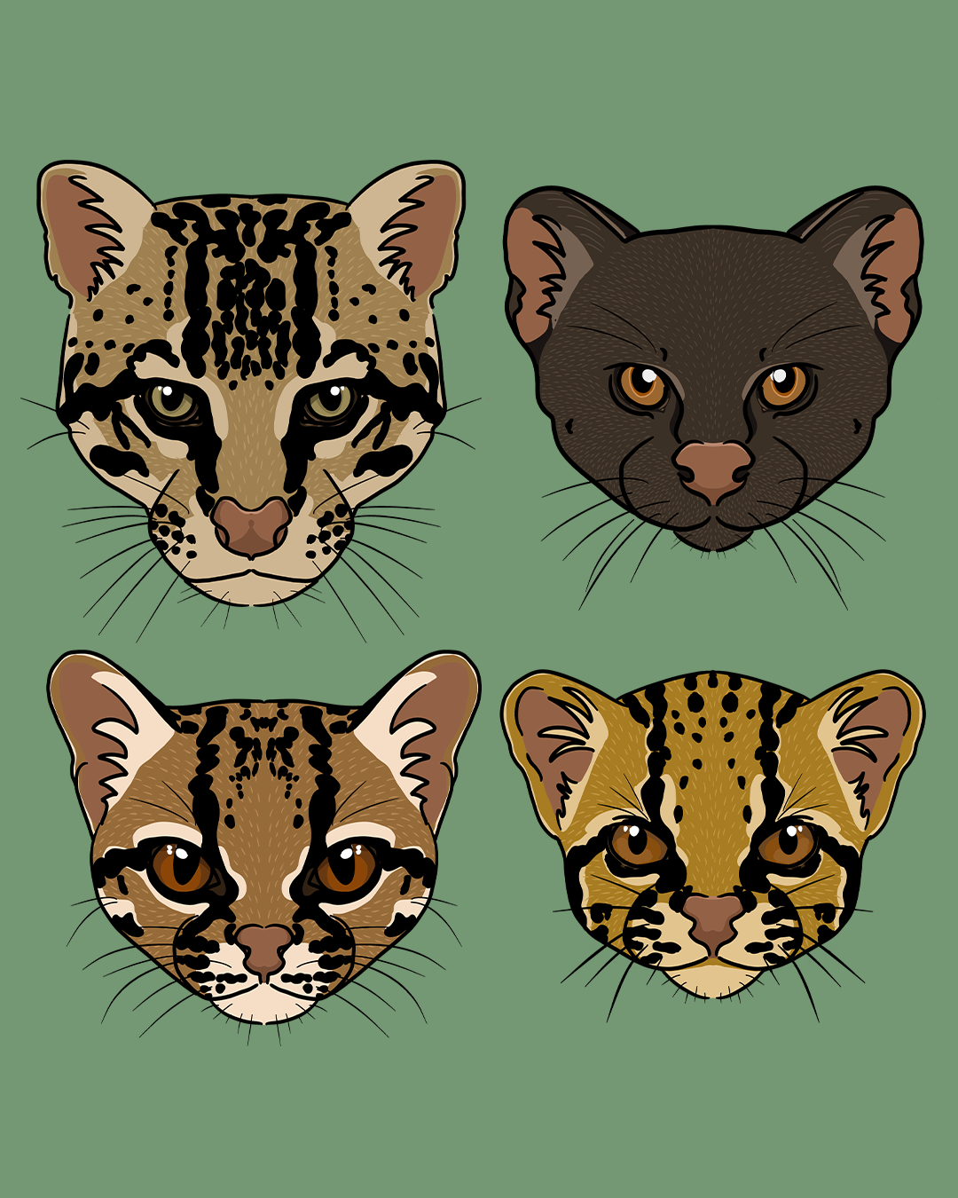 Pequeños Felinos