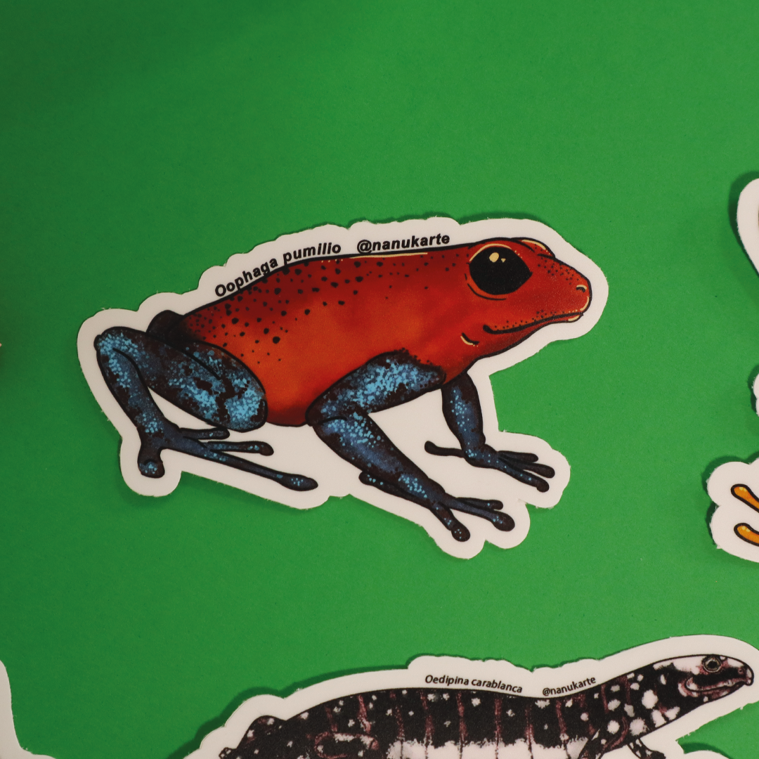 Amphibia de Costa Rica