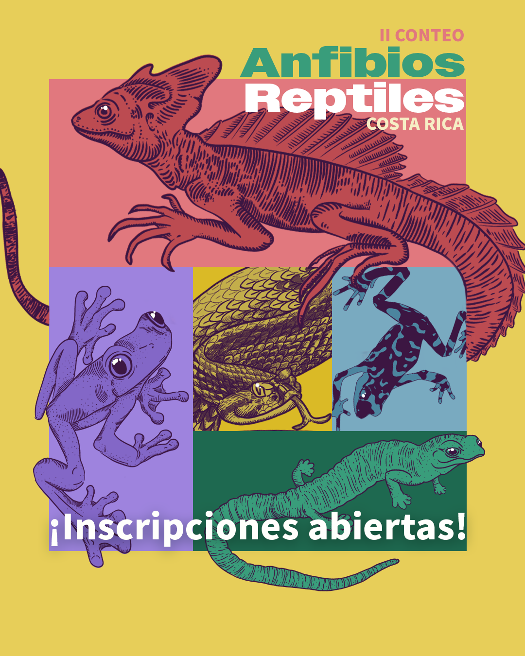 Conteo Herpetológico