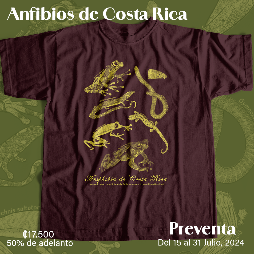 Amphibia de Costa Rica- Camiseta