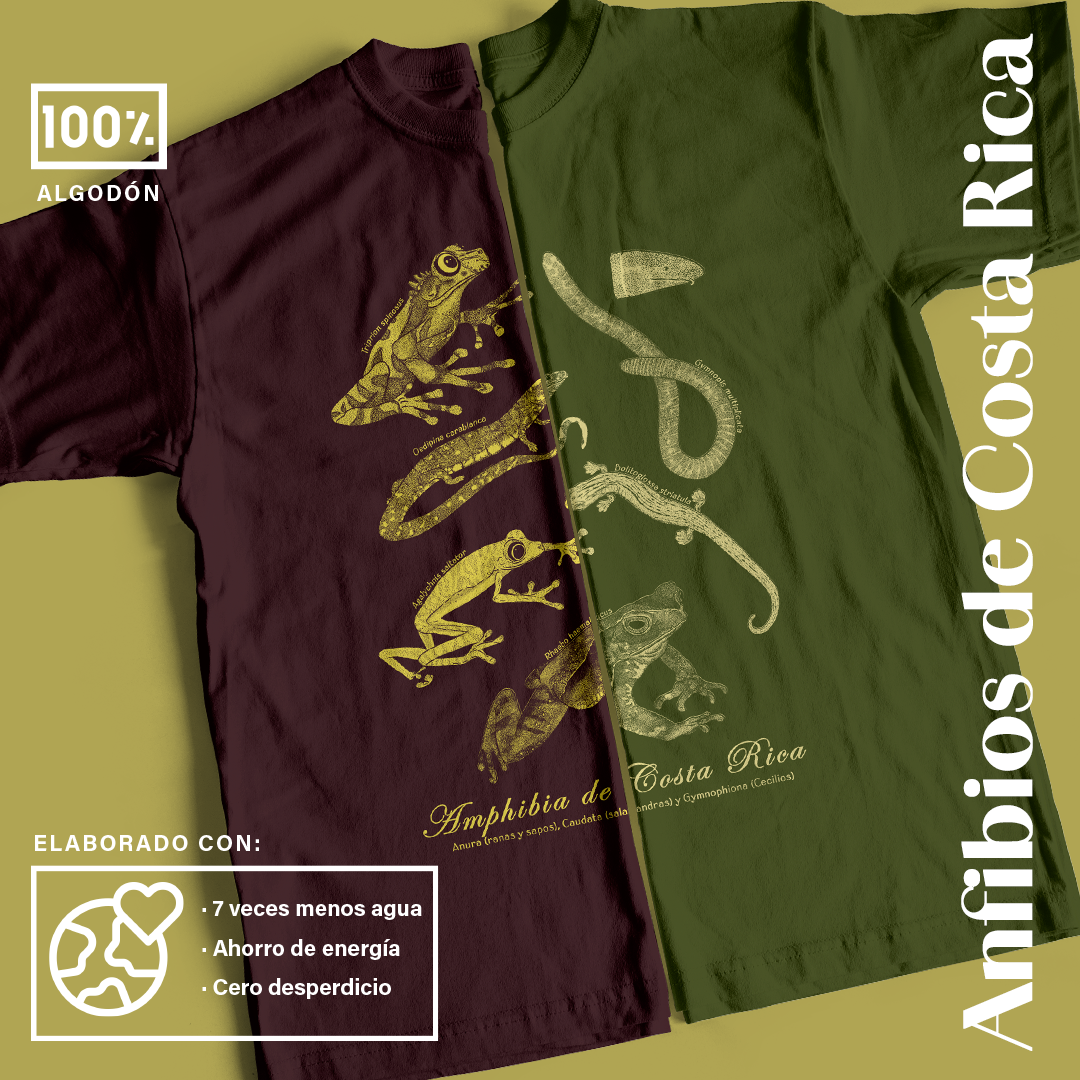 Amphibia de Costa Rica- Camiseta