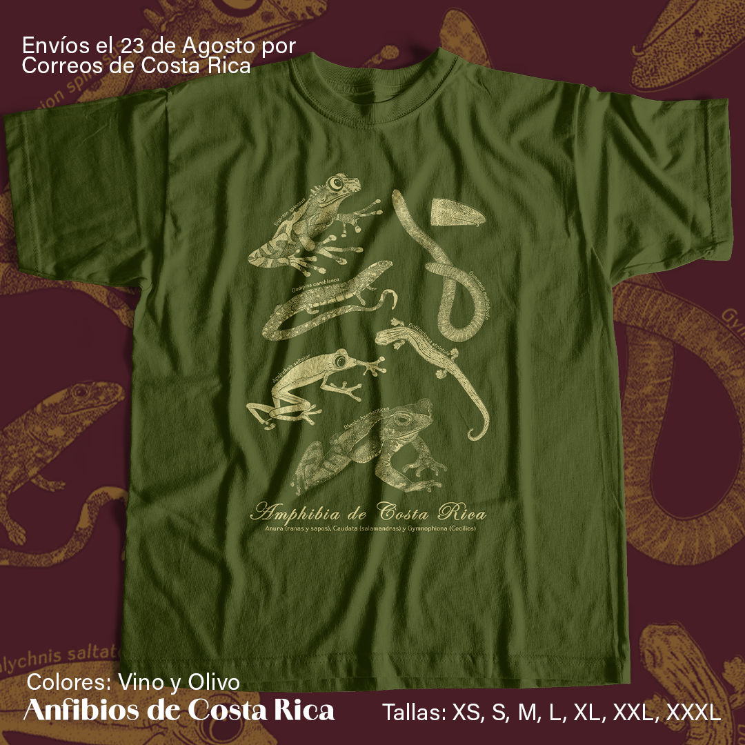 Amphibia de Costa Rica- Camiseta