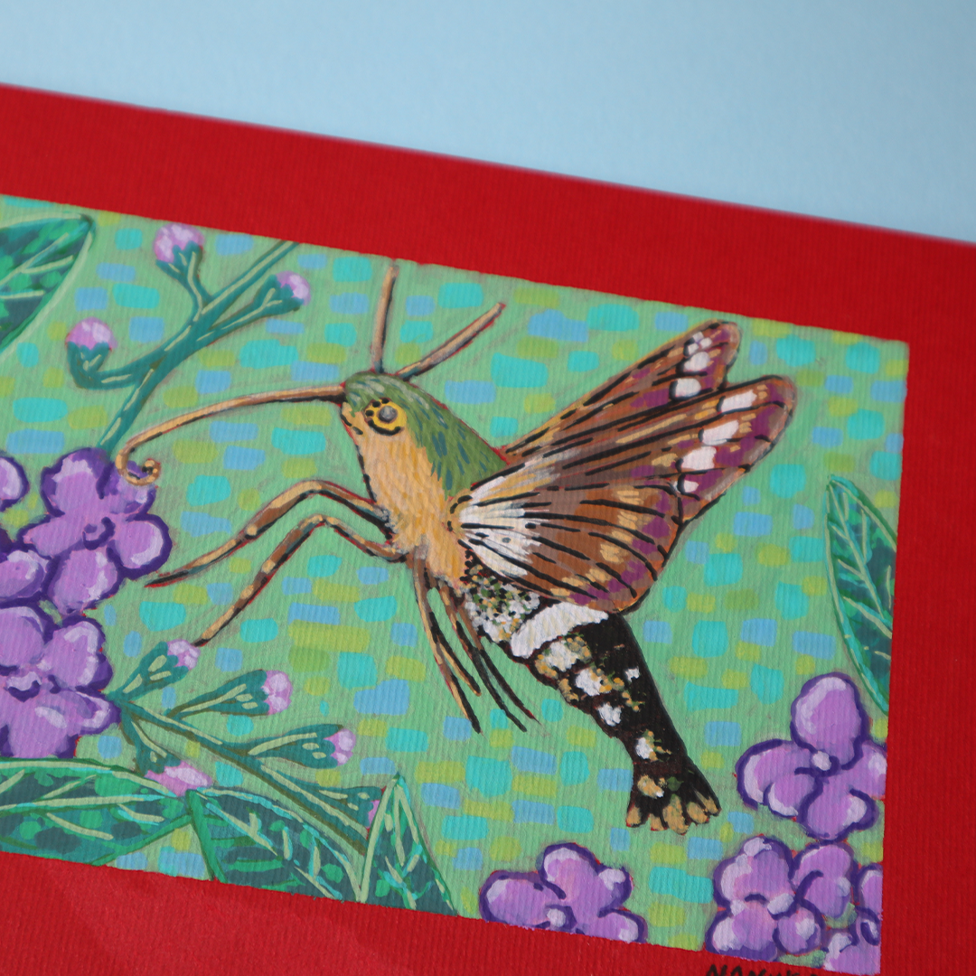 Pinturas Mini