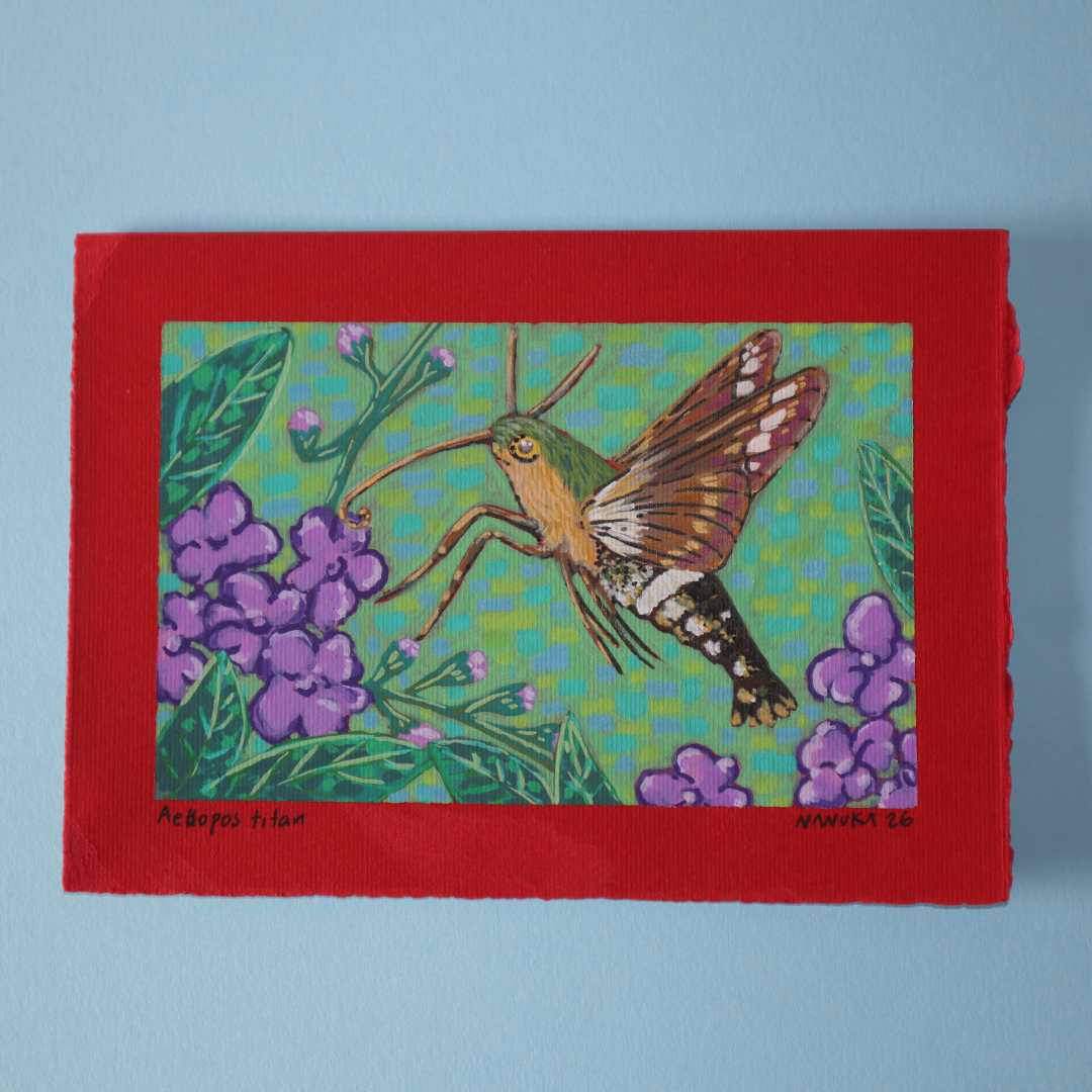 Pinturas Mini